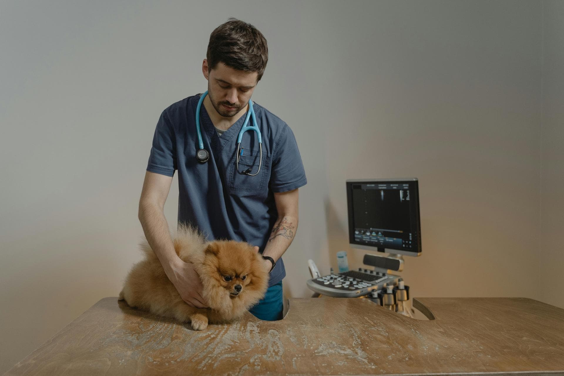 Best Vets in Pasco