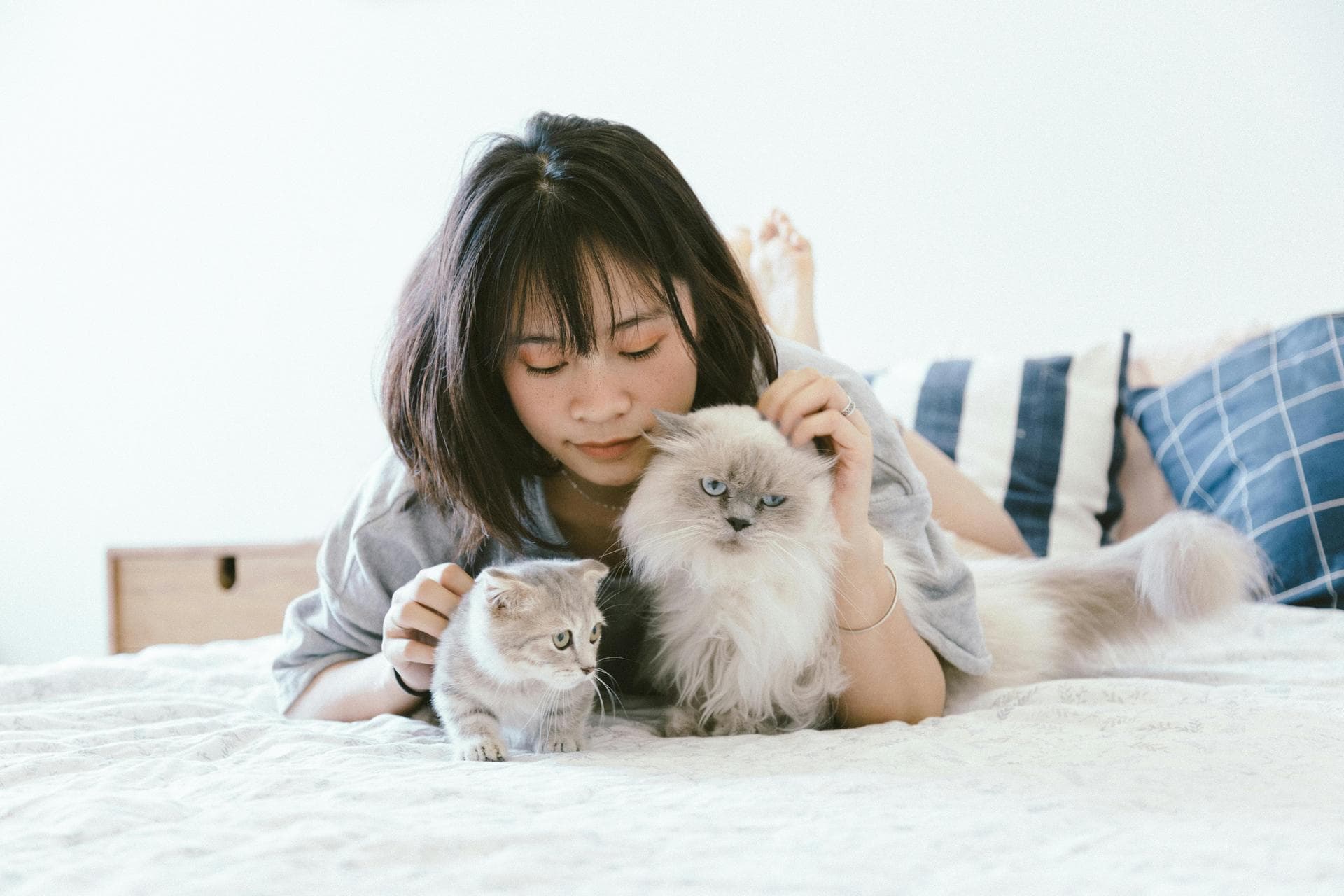 Dog & Cat Vets in Orchards